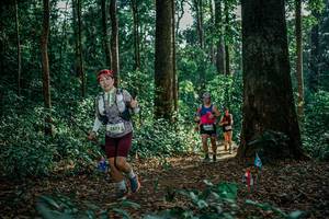 BIB: 
                            <button type="button" onclick="openModal(26128716)" class="btn btn-primary btn-sm float-right btn-popup" data-toggle="modal" data-target=".modal-high-quality">
                        <i class="fas fa-shopping-cart"></i> Add to Cart
                    </button>
                                            <button type="button" onclick="isThisMe(26128716, true)" class="btn btn-success btn-sm float-right btn-popup btn-isme hidden" data-toggle="tooltip" data-placement="bottom" title="นี่คือรูปของคุณใช่ไหม คลิกที่นี่เพื่อเอาเข้าอัลบั้ม">
                        <i class="fas fa-plus"></i> Add to album
                    </button>
                    <button type="button" onclick="isThisMe(26128716, false)" class="btn btn-warning btn-sm float-right btn-popup btn-isnotme hidden">
                        <i class="fas fa-ban"></i> Remove from album
                    </button>